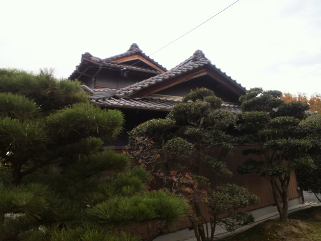 Before画像