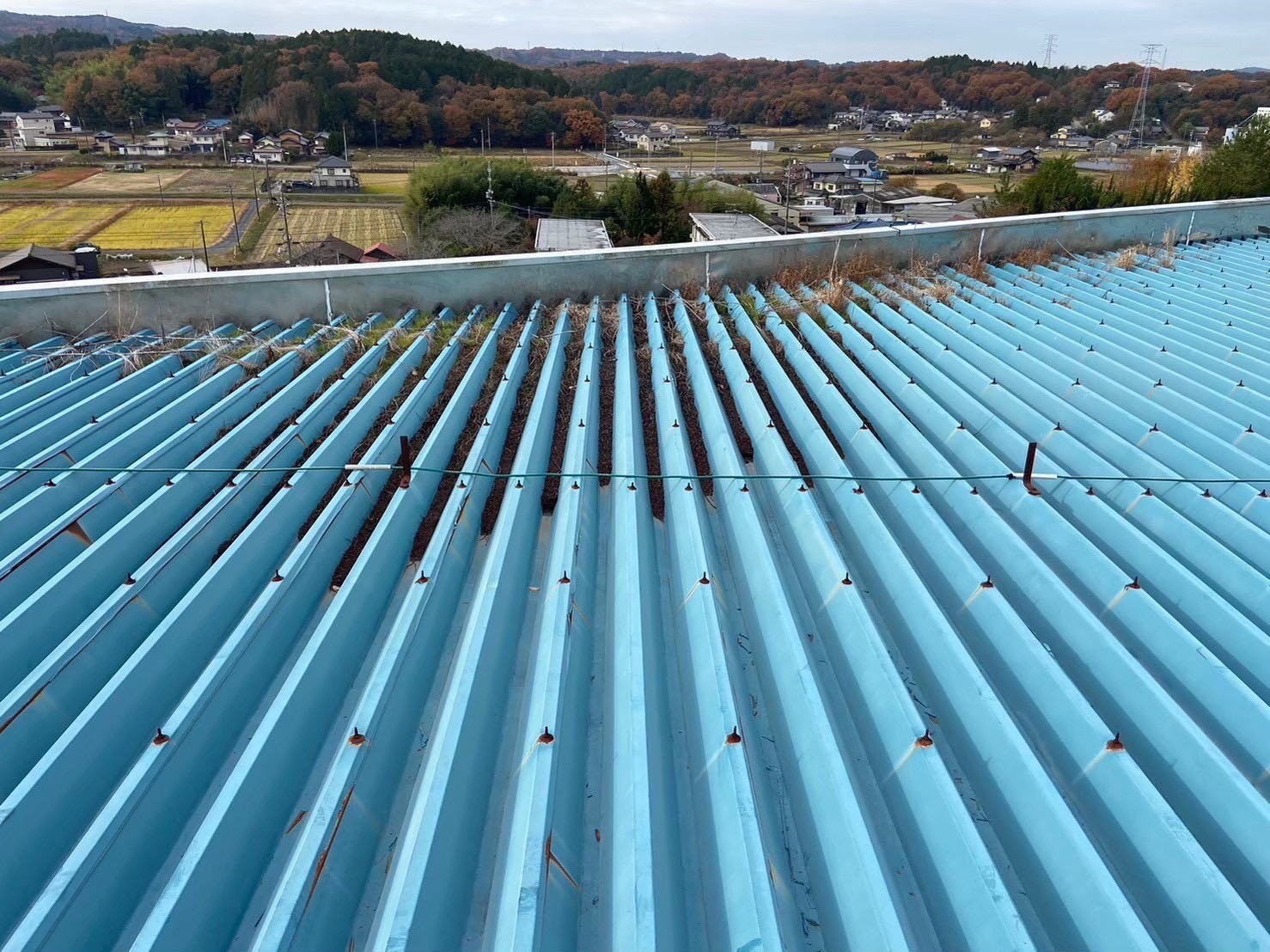 Before画像
