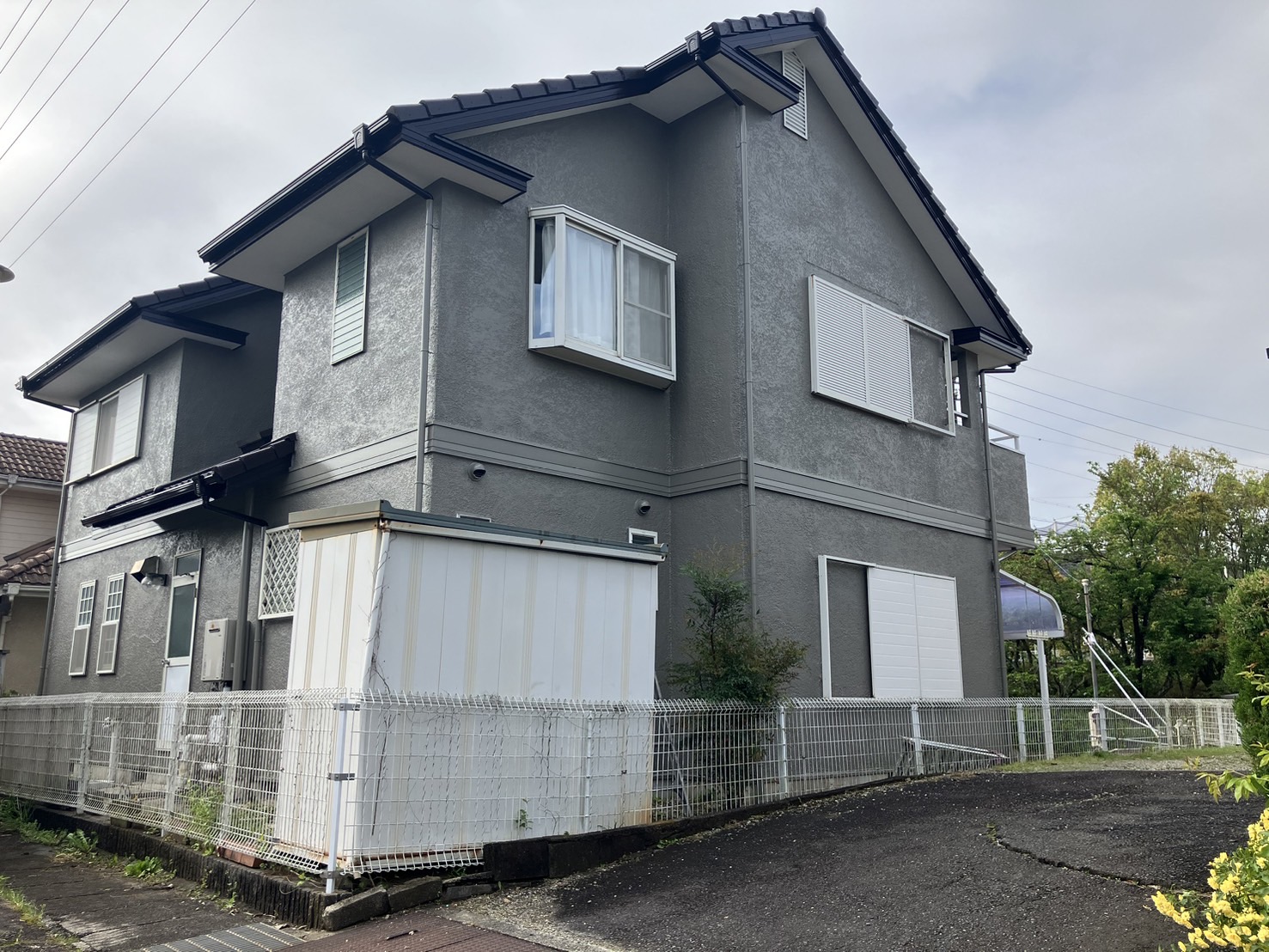 After画像