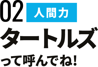 タートルズって呼んでね！