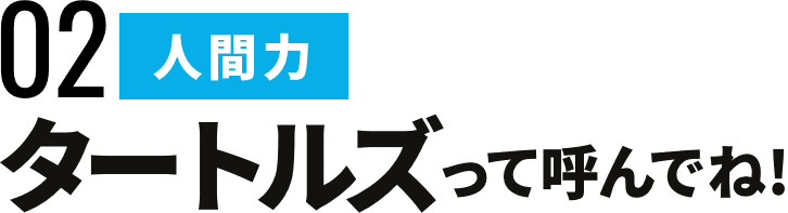 タートルズって呼んでね！