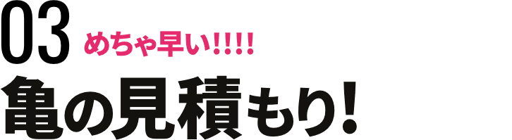 亀の見積もり