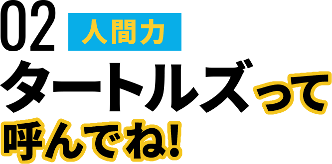 タートルズって呼んでね！