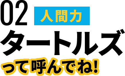 タートルズって呼んでね！