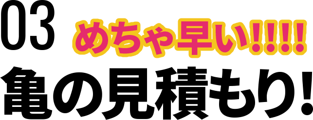 めちゃ早い!!!亀の見積もり!